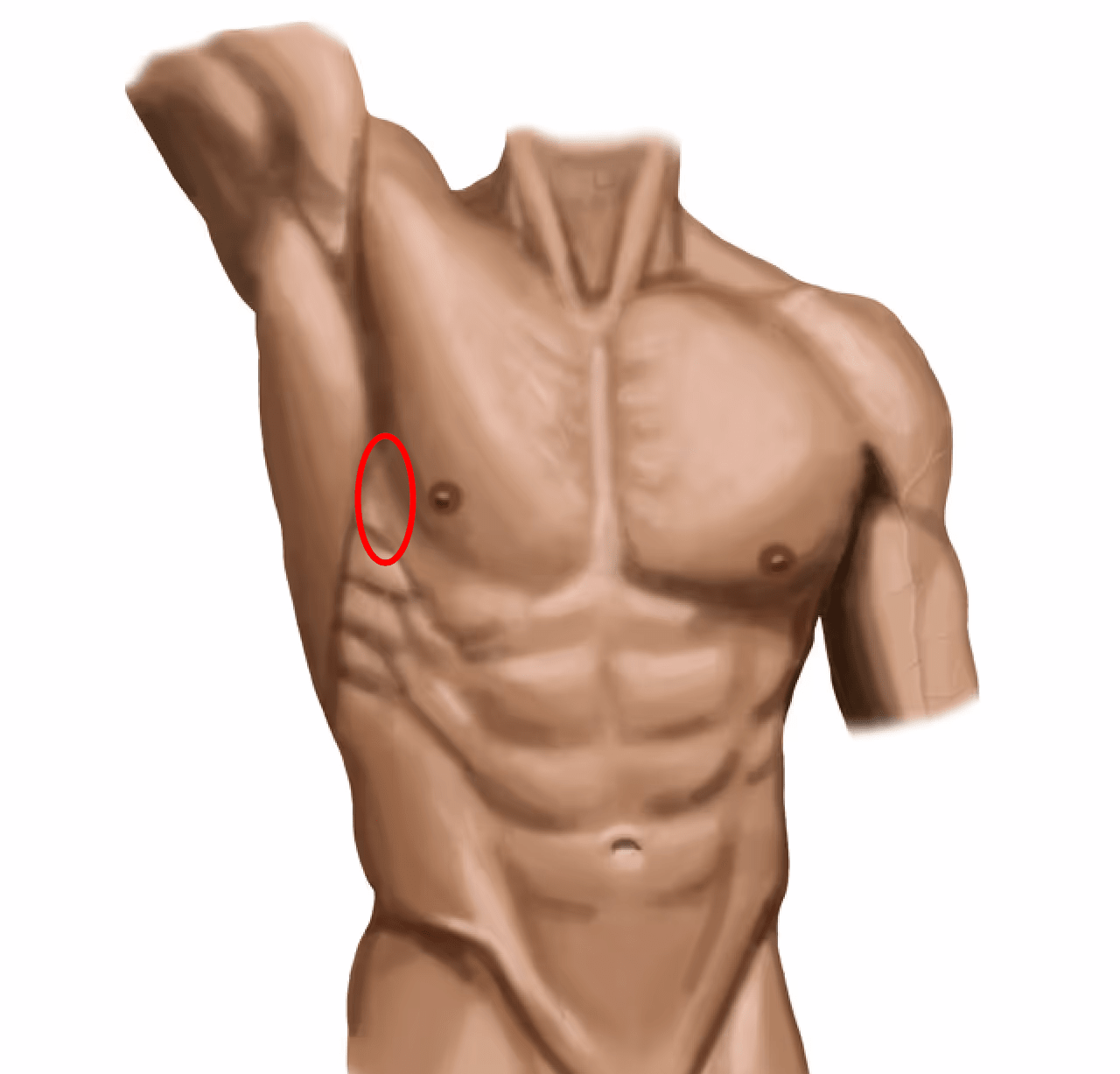Midaxillary skinfold measurement